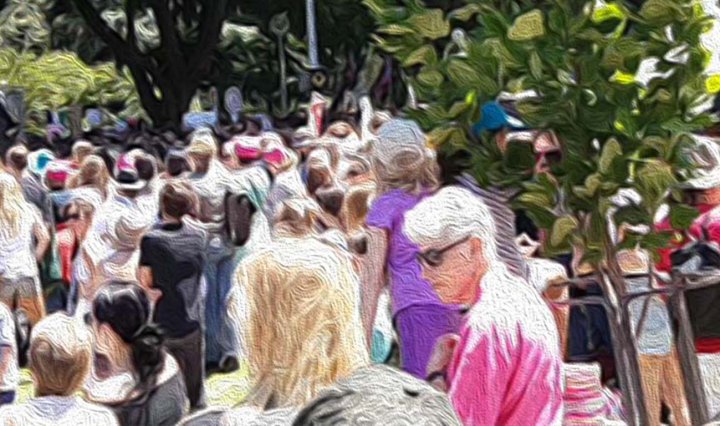 A crowd of protesters walk through Sydney