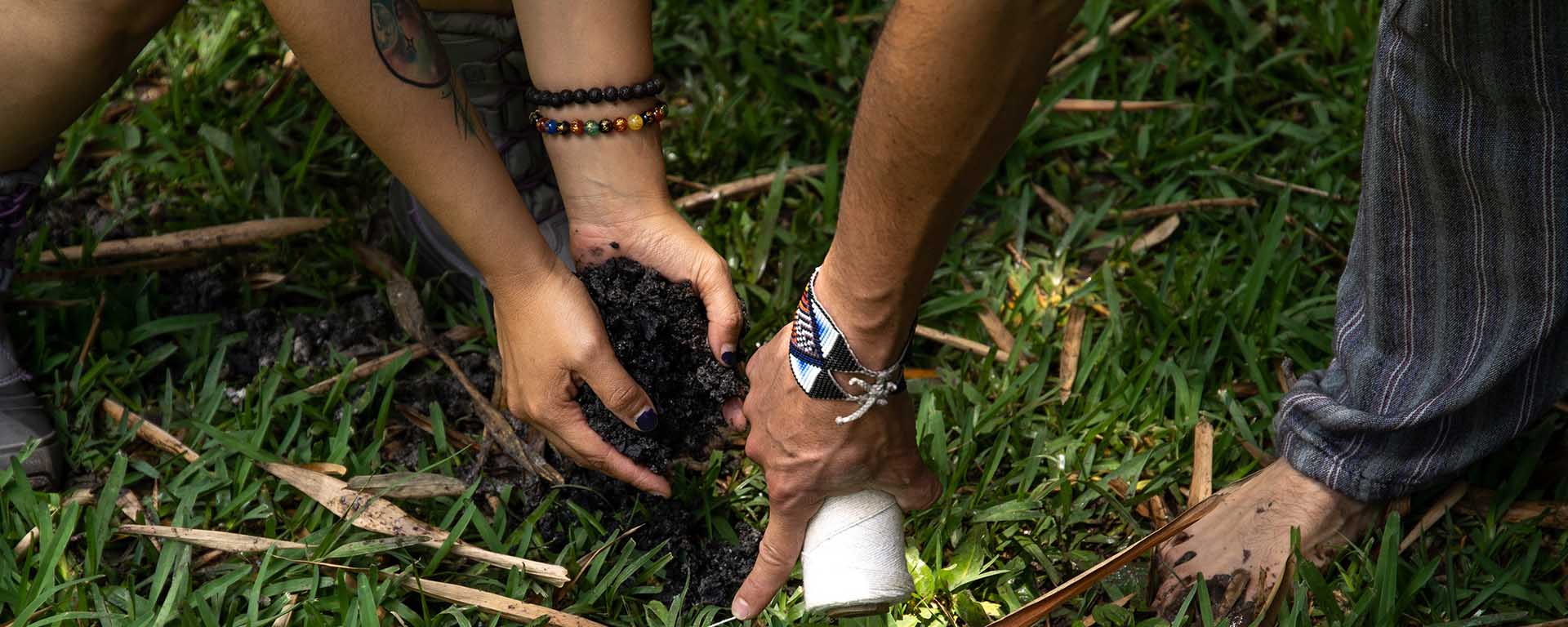 Close up of hands, showing a white child planting a tree and a Brown man pointing to the ground