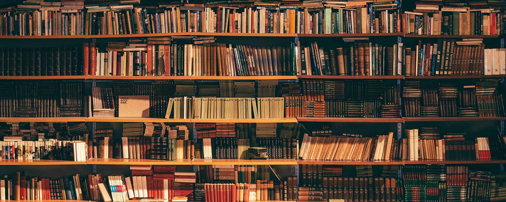 Large bookcase packed tight with many books in a dark lit room