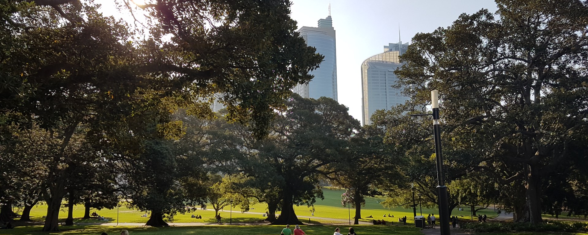 People sitting at Hyde Park, Sydney