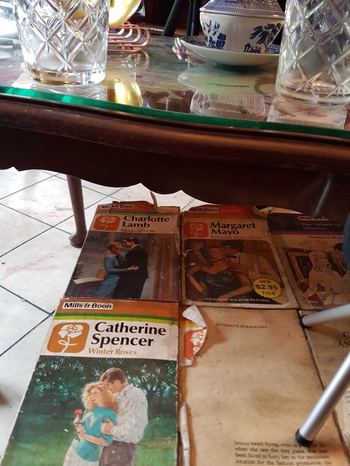 Vintage romance novels