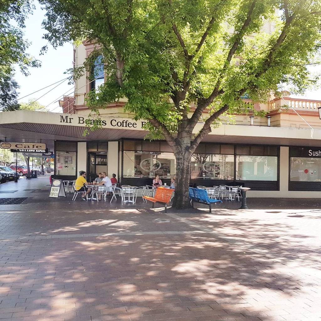 People sit outside a cafe, in front of a large tree