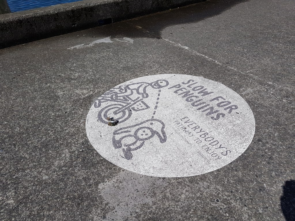 Sign painted on the sidewalk says "Slow for penguins