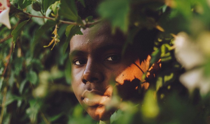 A young man looks out from behind leaves