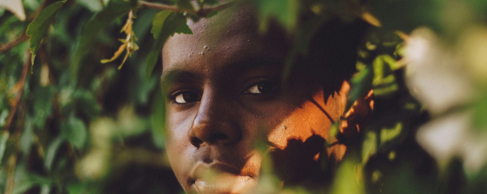 A young man looks out from behind leaves