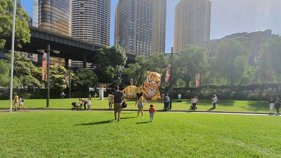 A sunny day. People walk across Circular Quay park. An inflatable tiger is lying down. Tall buildings of Sydney CBD in the far background