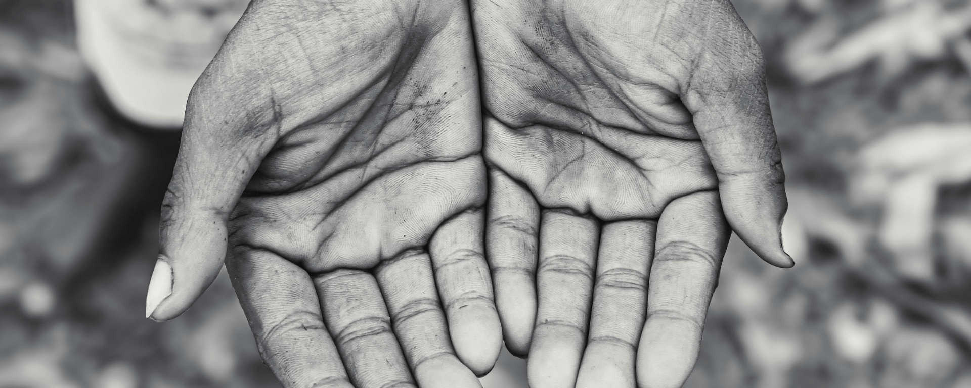 Black and white photo of hands held out, palms up